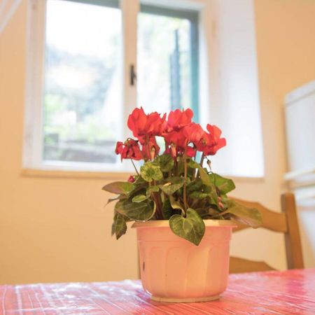 Apartman Juricic Labin  Buitenkant foto